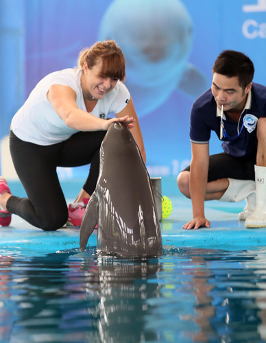 制定科学的 制定科学的