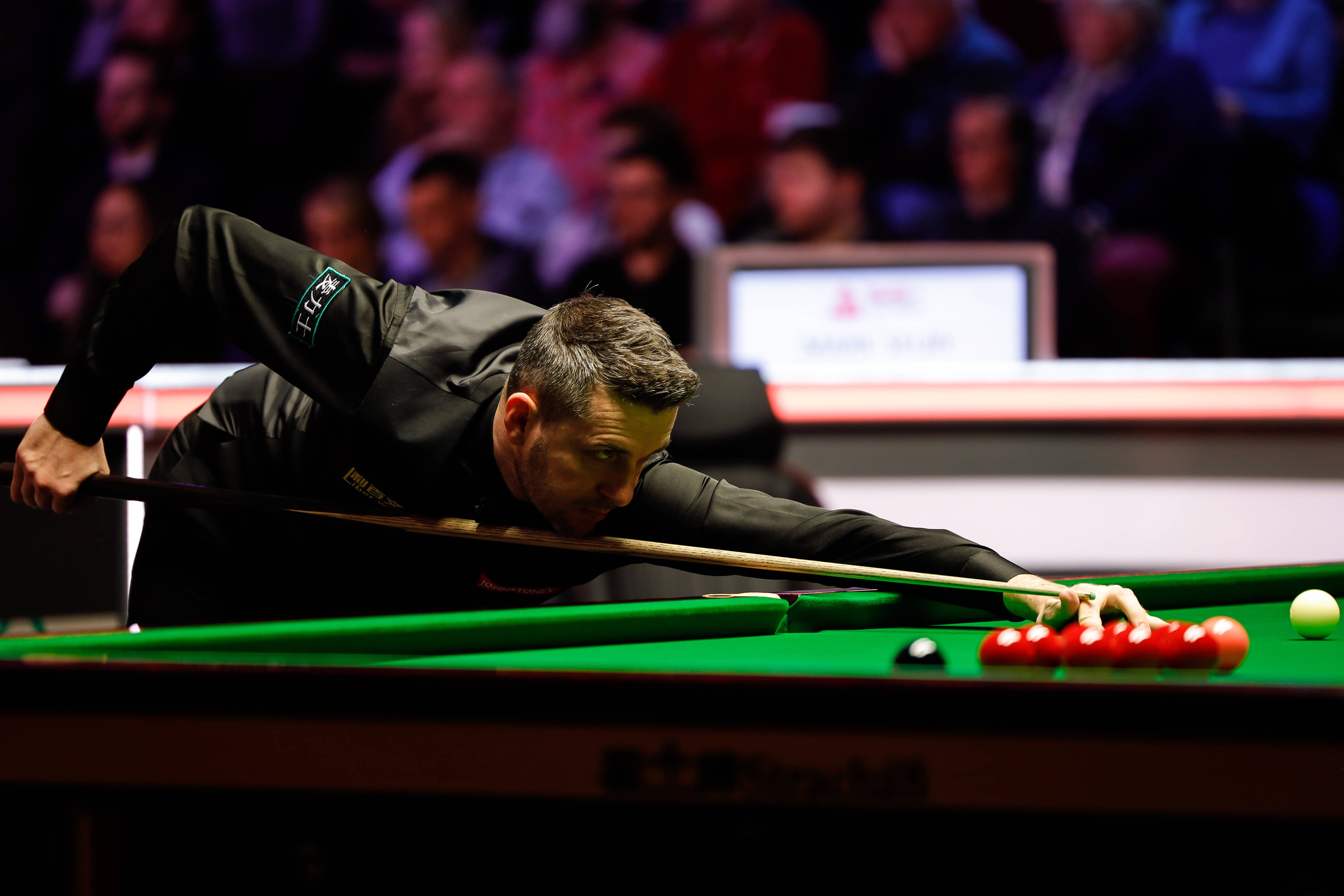 不得不说 不得不说